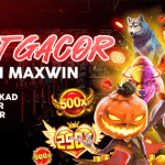 Slot Gacor Play n GO