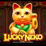 lucky neko