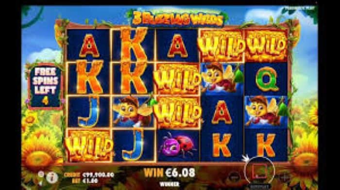 3 Buzzing Wilds