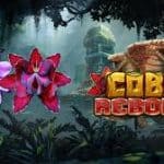 Slot Coba Reborn