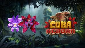 Slot Coba Reborn